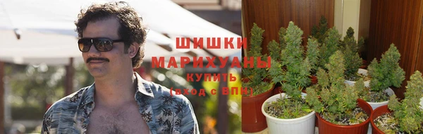 СК Коряжма