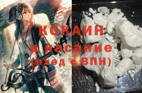 индика Корсаков