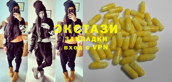 индика Корсаков