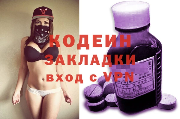 индика Корсаков